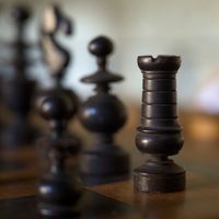  at Vegan Agrivilla I Pini in San Gimignano