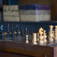  at Vegan Agrivilla I Pini in San Gimignano