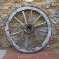  at Vegan Agrivilla I Pini in San Gimignano