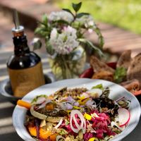  at Vegan Agrivilla I Pini in San Gimignano