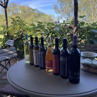   at Vegan Agrivilla I Pini in San Gimignano