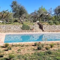 Outside 🏡 there was also a lot of land with olive groves, herb garden, veggie patch & vineyard too 🌳 at Vegan Agrivilla I Pini in San Gimignano