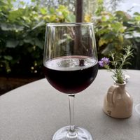 Vegan Sangiovese  at Vegan Agrivilla I Pini in San Gimignano