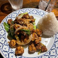 Garlic lunch special with tofFelix  at Thai Villa  in Winter Park
