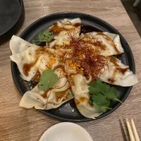 Chicken dumplings  at Beyond Sushi in New York City