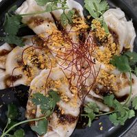 5 spice chicken dumpling   at Beyond Sushi in New York City