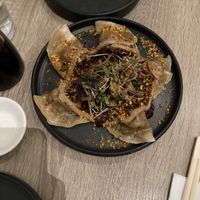 Dumplings  at Beyond Sushi in New York City