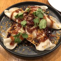 Five spice chicken dumplings  at Beyond Sushi in New York City