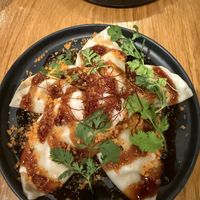 Five spice chicken dumplings!! The BEST  at Beyond Sushi in New York City