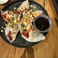 Ginger beef dumplings   at Beyond Sushi in New York City