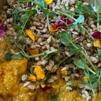 Warm Bowl with lentils at Bistro Maha in Ljubljana