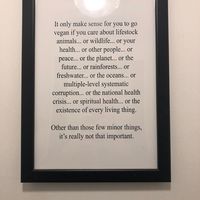 Frame at LYR Speciality Coffee and Food in Pecs