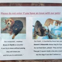  at Talos Restaurant in Crete