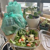   at Pure Kitchen in Tampa