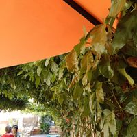  at Bagus Kafé in Hyeres