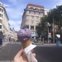 You all need to try lavender ice cream   at Veganista Ice Cream IV in Vienna