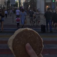 Coconut cookie   at Veganista Ice Cream IV in Vienna