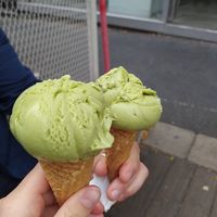 Matcha scoops! at Veganista Ice Cream IV in Vienna