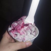  at Veganista Ice Cream IV in Vienna