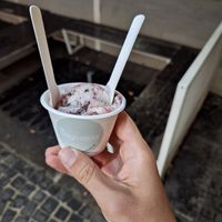  at Veganista Ice Cream IV in Vienna