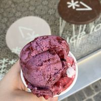   at Veganista Ice Cream IV in Vienna