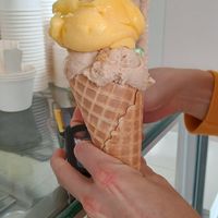  at Veganista Ice Cream IV in Vienna