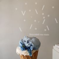 Superfood & blue spirulina at Veganista Ice Cream IV in Vienna