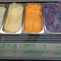  at Veganista Ice Cream IV in Vienna