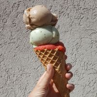 Hazelnut / Basil / Strawberry at Veganista Ice Cream IV in Vienna