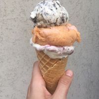 Cookies apricot and cherry stracciatella  at Veganista Ice Cream IV in Vienna