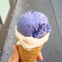 Blueberry-lavender and oat-cinnamon  at Veganista Ice Cream IV in Vienna