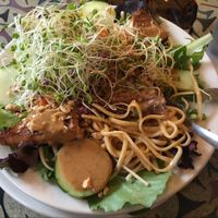 Evolution Noodles. Yum! at Cafe Evolution in Florence