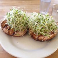 Saint Reuben at Cafe Evolution in Florence