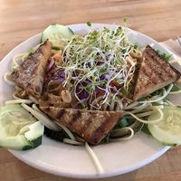 Evolution Noodles - warm version (option to order them cold too. at Cafe Evolution in Florence