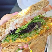 Not so turkey sandwich with "fakin bacon" minus the onions at Cafe Evolution in Florence