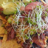 Nachos grande: yuuuuuuummmm at Cafe Evolution in Florence