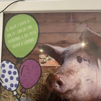   at El Enano Verde in Torremolinos