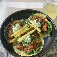 Bengali tacos  at El Enano Verde in Torremolinos