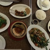 Dinner  at Zenhouse Vegetarian Yum Cha  in Adelaide