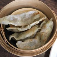 Guotie dumplings at Zenhouse Vegetarian Yum Cha  in Adelaide