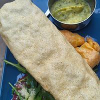 Starter at Nirvana in Florence