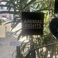   at Nirvana in Florence