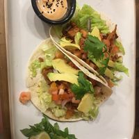 Jackfruit tacos  at The Kasbar in 