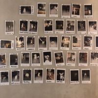 Dog Wall of Fame  at The Kasbar in 