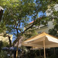 view in the courtyard  at Natureza in Prague
