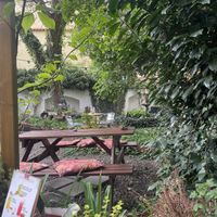   at Natureza in Prague