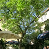 garden at Natureza in Prague