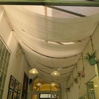 inside at Natureza in Prague