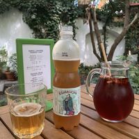 Kombucha and homemade hibiscus soda  at Natureza in Prague