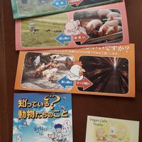 Brochures at Thallo in Kobe